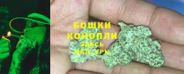 молекула духа Иннополис