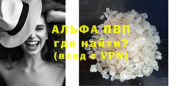 ешки Каменногорск