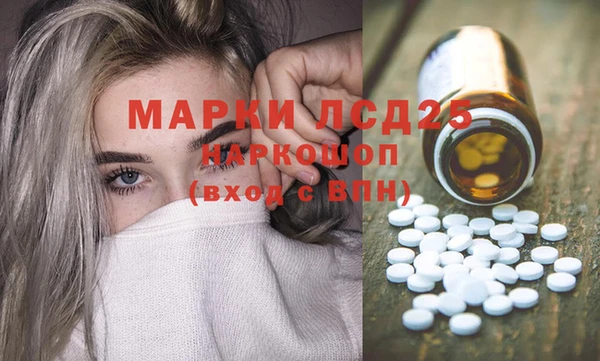 ешки Каменногорск