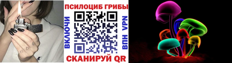 Псилоцибиновые грибы Psilocybine cubensis Купить где Миньяр